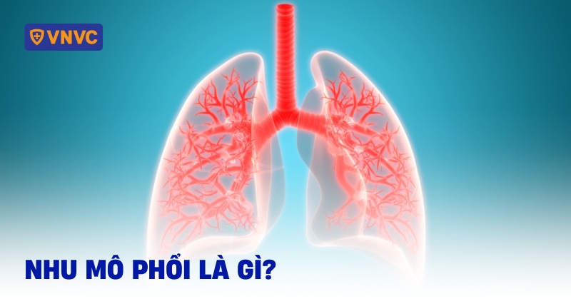 nhu mô phổi là gì
