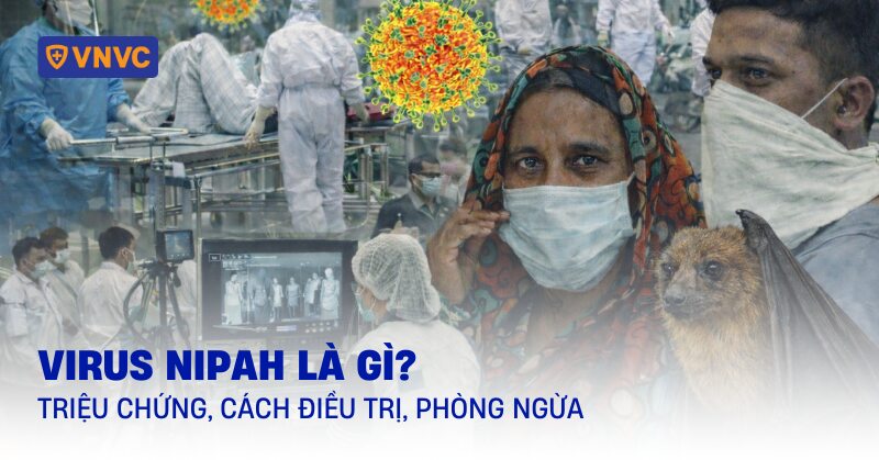 virus nipah