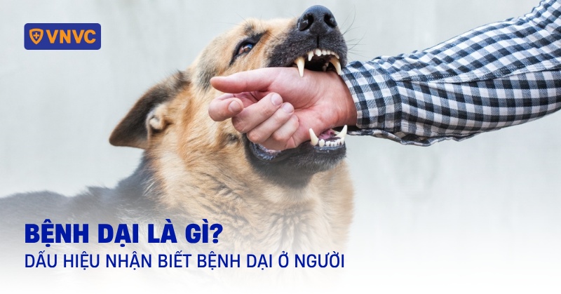 tìm hiểu bệnh dại là gì