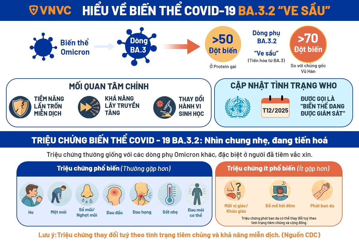 mô tả về biến thể ve sầu