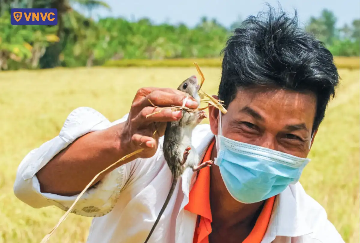 người cầm con chuột
