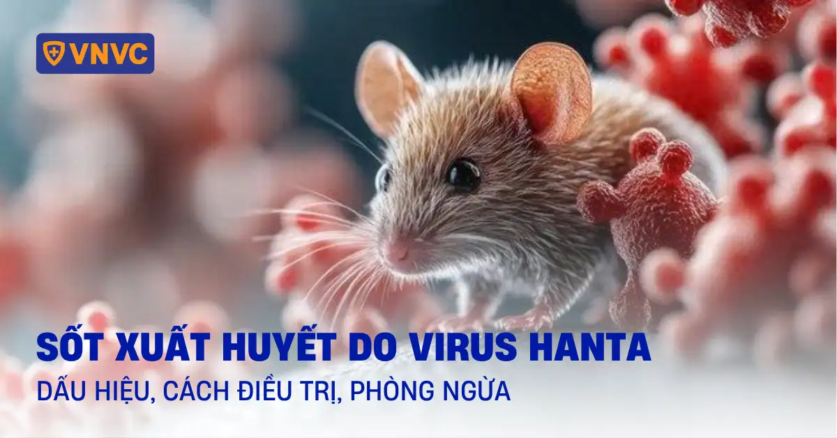 sốt xuất huyết do virus hanta