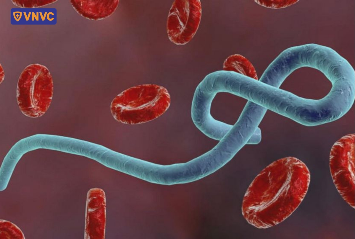virus ebola chủng sudan