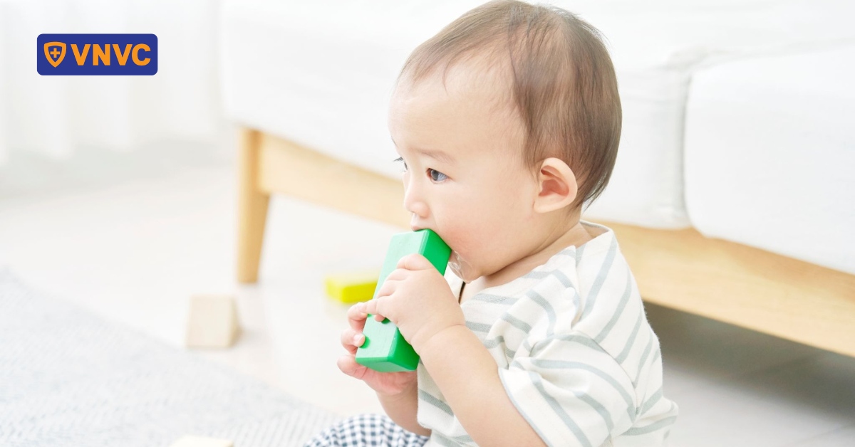 Mầm bệnh có thể sống bao lâu trên đồ chơi trẻ em?
