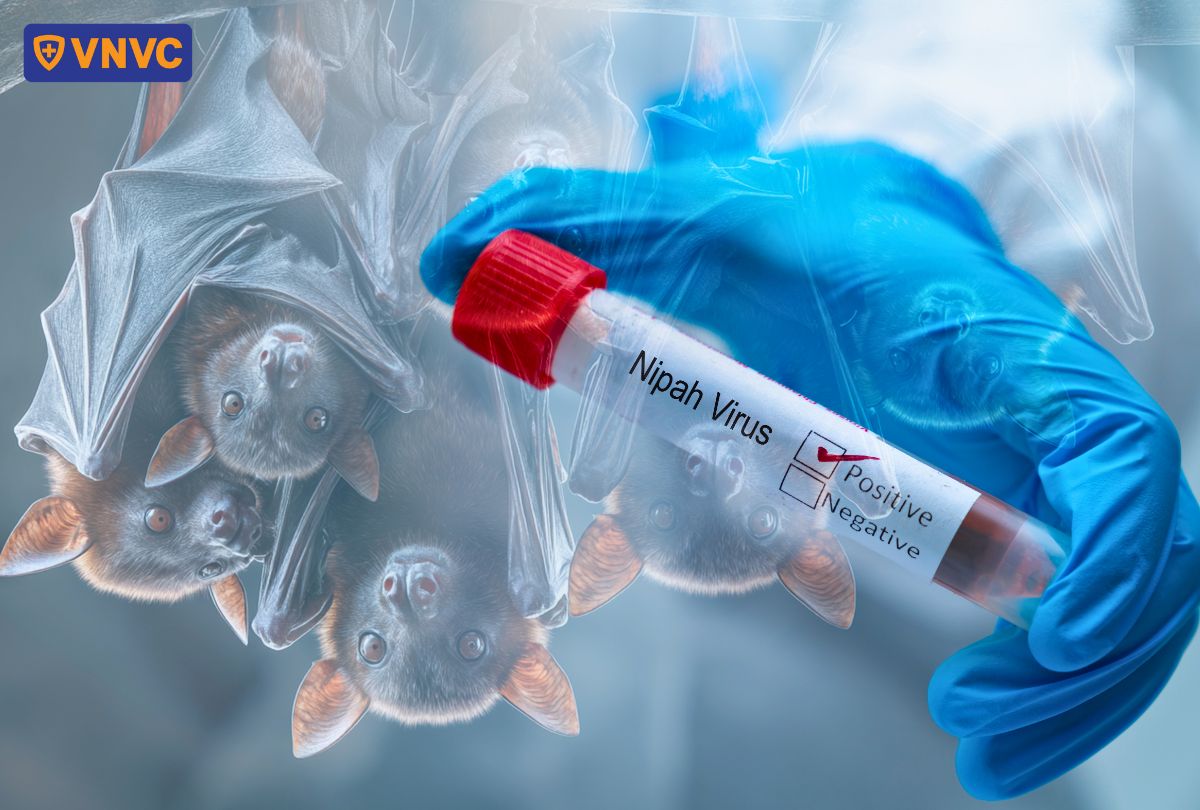 ống nghiệm virus nipah