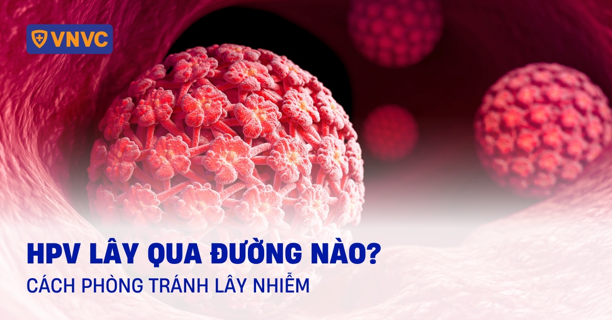 hpv lây qua đường nào