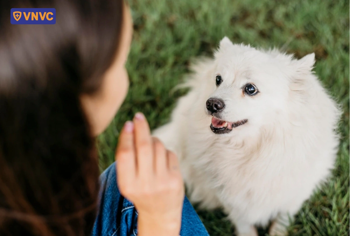 con người chơi với chó