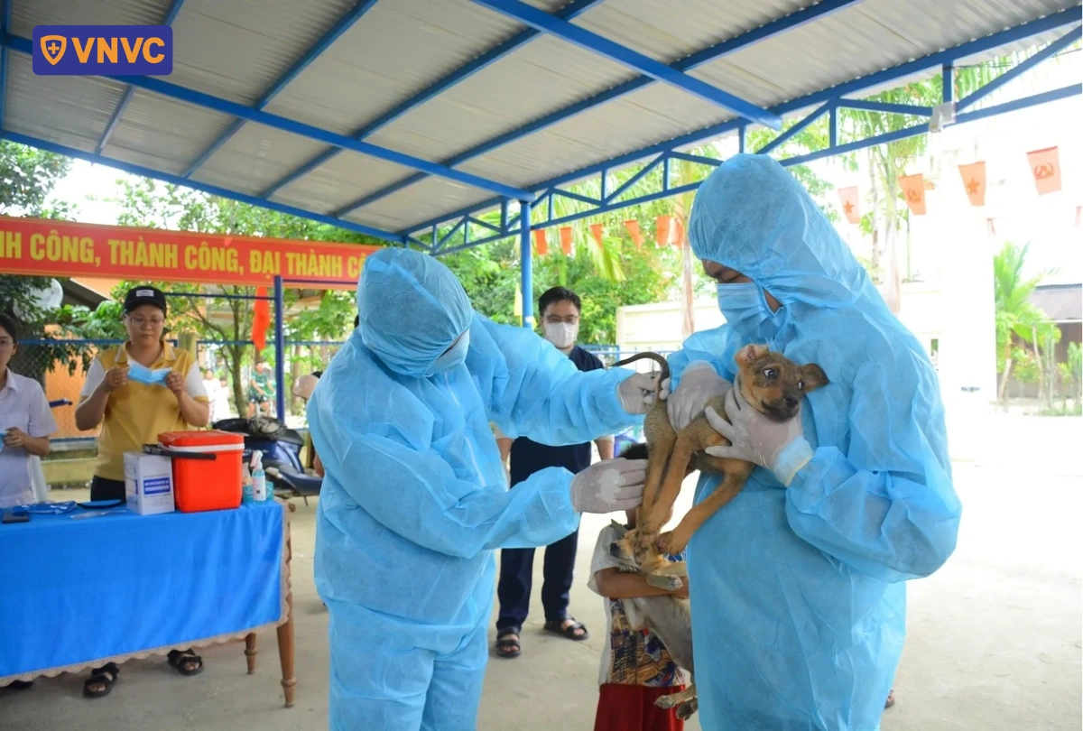 nhân viên tiêm ngừa dại cho chó