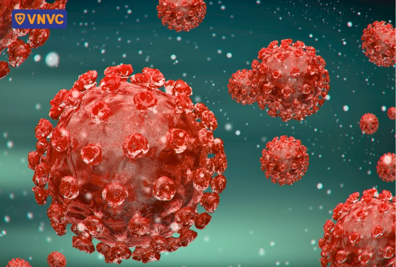 virus tay chân miệng ev71