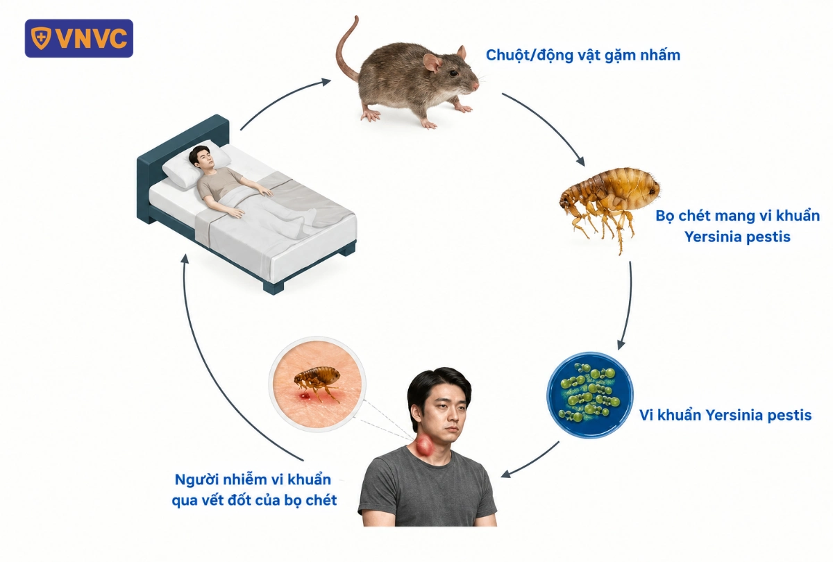 các tác nhân truyền bệnh
