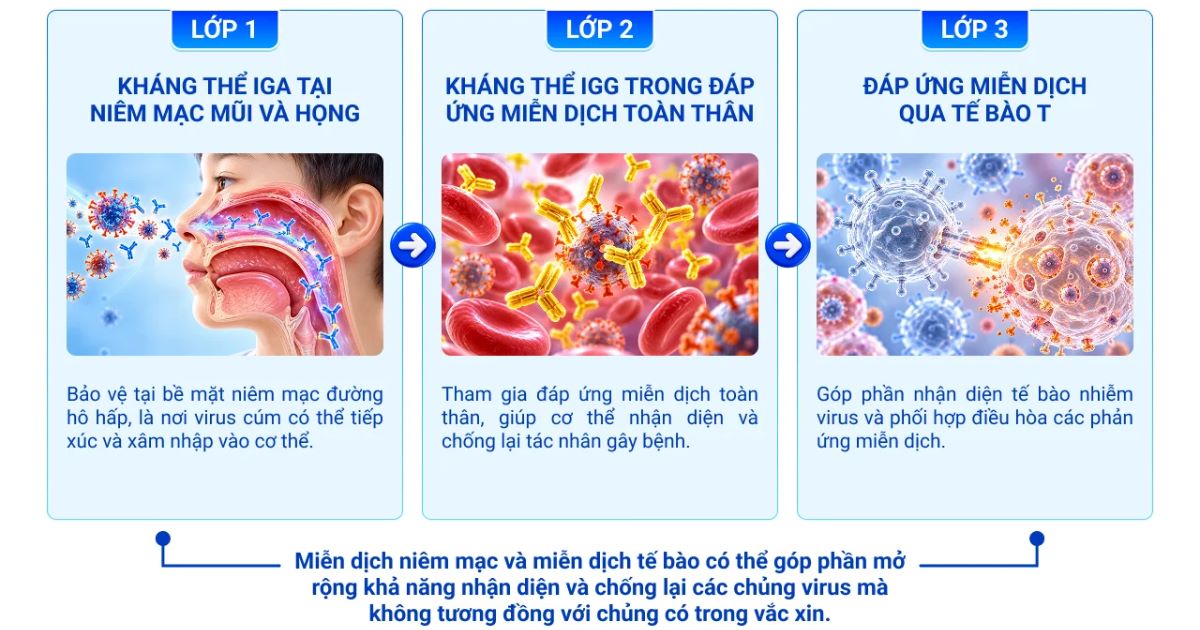 đặc tính vắc xin dạng xịt